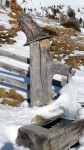 PREBER a STRIMSKOGEL 2011, Zima tentokrt pipravila opravdu pestrou paletu. Od vichice na Preberu, pes asnou pohodu na vrcholu Strimskogelu. Na boj s vznm a lesn anabzi se bude vzpomnat dlouho... - fotografie 25