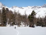 SKIALP ARNA RIEDINGTAL, Sluncem zalit arna s tvrdm podkladem umonila dv skvl try. Vichni jsme uili pardn vkend na skialpech. - fotografie 96