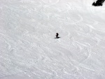 SILVRETTA - OPRAVDOV SKIALPINISTICK RJ - 2011, tyi dny ve sluncem zalitch horch. Pochvala vem astnkm za pohodu a super vkony. Odpoledn siesta byla vdy odmnou za rann vstvn... - fotografie 177