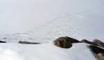 PECHOD SILVRETTY NA SKIALPECH, Vylo nejen poas a nov snh, ale i parta. Prost asn akce. Dalo by se ci: skialpinistick mlsota. - fotografie 110