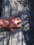 HOROŠKOLA V CHORVATSKÉ PAKLENICI, Horolezecký výcvik v nádherném prostředí Národního paku Paklenica se jako obvykle vyvedl na výbornou, včetně zdolání Anica Kuku. - fotografie 96