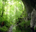 TARA RAFTING MONTE NEGRO 2011, Pardn a vymazlen akce a navc se super partou.... Gurmnsko - raftingov rj. - fotografie 320