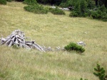 VELK ALPSK OKRUH PO NEJLEPCH RAFTOVCH EKCH, Pardn a komorn expedice. Takhle by to mohlo bt pokad: super parta, super poas, super voda, super hory, super akce... - fotografie 100