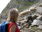 VELK ALPSK OKRUH PO NEJLEPCH RAFTOVCH EKCH, Pardn a komorn expedice. Takhle by to mohlo bt pokad: super parta, super poas, super voda, super hory, super akce... - fotografie 268