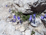 VELK ALPSK OKRUH PO NEJLEPCH RAFTOVCH EKCH, Pardn a komorn expedice. Takhle by to mohlo bt pokad: super parta, super poas, super voda, super hory, super akce... - fotografie 405