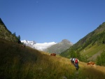 Vstup na Grossvenediger - srpen 2011, V srpnu jsme vyrazili s kilenty na vrchol tet nejvy hory Rakouska Grossvenediger - 3.674m. Vrcholu Velkho Bentana jsme zdrn doshli a tak si dosyta uili pohody vldnouc na Neue Prager Hut - fotografie 3