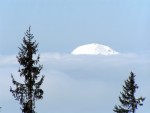 SKIALP ARNA KITZBHL, Neskuten poas, neskuten vhledy, neskuten sjezdy, prost ndhera... - fotografie 47