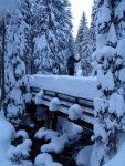 PR FOTEK ZE ZKLADN KURZU SKIALPINISMU, Skvl parta, snhu poehnan, pardn posko, a vynikajc gastro zitky. Tentokrt si to vichni ndhern uili... e jo, vy co jste tam byli?? - fotografie 77