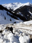 SKIALPINISTICK ELDORDO, Tahle parta veden Hanzem a Salmkem mla neskutenou kliku na poas... Spousta snhu, slunce, lavin i nastoupanch vkovch metr a vypitch kvasnic. Tahle partika si poradila se vm, vetn nro - fotografie 194