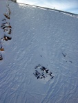 Freeride Kurz KAPRUN 2012, V sobotu pardn poas a praan, kter mohl bt mn jet. Nicmn jsme najeli za vkend asi 300 m po sjezdovce a prmrn sklon jednch svah byl 35. Take jsme projeli vechno zajmav a uili i - fotografie 5