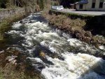 Rafting na Labi pod pindlem, Opravdu vyjmen den. Pehrada Labsk poutla vodu a k tomu pardn poas. Kdy se nm naskytne znovu takov pleitost...? - fotografie 19