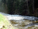 Rafting na Labi pod pindlem, Opravdu vyjmen den. Pehrada Labsk poutla vodu a k tomu pardn poas. Kdy se nm naskytne znovu takov pleitost...? - fotografie 27