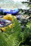 Rafting v Korutanech, Zjezd na eky, kam se mlo kdy podvte. A voda nakonec vyla. S nocovnm v Tee-Pee to nemlo chybu. - fotografie 69