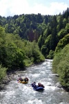 Rafting v Korutanech, Zjezd na eky, kam se mlo kdy podvte. A voda nakonec vyla. S nocovnm v Tee-Pee to nemlo chybu. - fotografie 78