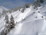 BAD GASTEIN - LYOVN A FREERIDE LEDEN 2013, Konen po del pauze v Alpch napadlo a tak podmnky byly perfektn. Jak na sjezdovkch Sportgasteinu tak ve Freeridu. - fotografie 24