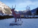 BAD GASTEIN - LYOVN A FREERIDE LEDEN 2013, Konen po del pauze v Alpch napadlo a tak podmnky byly perfektn. Jak na sjezdovkch Sportgasteinu tak ve Freeridu. - fotografie 46