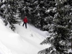 ZKLADN KURZ SKIALPINISMU 15.-17.2.2013, Pardn, v tm ist chlapsk zletost. Brilantn snhov podmnky a pohoda v tmu a dostivost se nco dozvdt. Vichni se nauili skvle nakopnout Harleye a nejen to... - fotografie 17