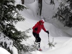 ZKLADN KURZ SKIALPINISMU 15.-17.2.2013, Pardn, v tm ist chlapsk zletost. Brilantn snhov podmnky a pohoda v tmu a dostivost se nco dozvdt. Vichni se nauili skvle nakopnout Harleye a nejen to... - fotografie 18