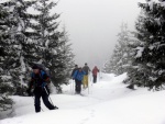 ZKLADN KURZ SKIALPINISMU 15.-17.2.2013, Pardn, v tm ist chlapsk zletost. Brilantn snhov podmnky a pohoda v tmu a dostivost se nco dozvdt. Vichni se nauili skvle nakopnout Harleye a nejen to... - fotografie 19