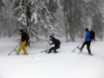 ZKLADN KURZ SKIALPINISMU 15.-17.2.2013, Pardn, v tm ist chlapsk zletost. Brilantn snhov podmnky a pohoda v tmu a dostivost se nco dozvdt. Vichni se nauili skvle nakopnout Harleye a nejen to... - fotografie 30