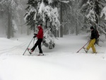 ZKLADN KURZ SKIALPINISMU 15.-17.2.2013, Pardn, v tm ist chlapsk zletost. Brilantn snhov podmnky a pohoda v tmu a dostivost se nco dozvdt. Vichni se nauili skvle nakopnout Harleye a nejen to... - fotografie 31