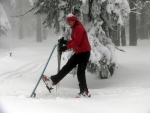 ZKLADN KURZ SKIALPINISMU 15.-17.2.2013, Pardn, v tm ist chlapsk zletost. Brilantn snhov podmnky a pohoda v tmu a dostivost se nco dozvdt. Vichni se nauili skvle nakopnout Harleye a nejen to... - fotografie 35