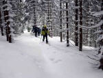 SKIALPINISTICK VKEND V KRKONOCH tentokrt ze PINDLU, Tak to byla opravdov zima! mrt novho snhu, vysok lavinovka 3-4, ale nladika v tmu bezvadn. Vyuili jsme pohostinnosti Martinovky a dali si KRNAPEM povolen trasy v dol Blho Labe a na Labs - fotografie 25