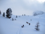 SKIALPY DACHSTEIN msto Silvretty - 2013, Prognza poas na Silvrettu byla tragick, a tak jsme vybrali nhradn een, kter slibovalo dobr poas. A POVEDLO SE! Dky Alponoi, bylo to asn! A to jak dky tmu, tak super chalup a musm - fotografie 48