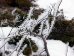 SKIALP ARNA RIEDINGTAL, Pes nepznivou pedpov jsme ulovili fantastick den a super zitky! Lyasky to bylo nron a zejmna nedln krusta byla vivn, ale kdy jsou v tmu dob lyai, nen co eit! - fotografie 177