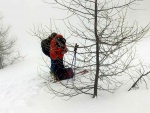 SKIALP ARNA RIEDINGTAL, Pes nepznivou pedpov jsme ulovili fantastick den a super zitky! Lyasky to bylo nron a zejmna nedln krusta byla vivn, ale kdy jsou v tmu dob lyai, nen co eit! - fotografie 180