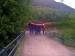 DIVOK RAFTING NA NOCE, ISARCU A PASIRIU, Velmi tepl poas tentokrt naavnilo tyto divok eky na opravdu megavodu. I Kdy jsme vymnili Isel za Mll vbec to nevadilo, Megavoda na Noce a pardn lucht na Pasiriu to dokonale vynahradili. - fotografie 76