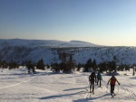 KRKONOSK HAUTE ROUTE PES SN̎KU, Druh leton Haute Route Krkonoe nadchla astnky nejen super poasm, ale hlavn ndhernou prodou, gurmntinou, horkou lzn ve finsk kdi a skvlm duchem v part. - fotografie 8