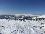 KRKONOSK HAUTE ROUTE PES SN̎KU, Druh leton Haute Route Krkonoe nadchla astnky nejen super poasm, ale hlavn ndhernou prodou, gurmntinou, horkou lzn ve finsk kdi a skvlm duchem v part. - fotografie 12