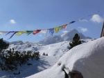 DACHSTEIN LADIES - AKCE PRO MIL DMY SKIALPINISTKY, Prvn ron akce svedl dohromady prima partu. Poas plo, kvika byla i teplo na chalup a navc i asn vkony, co dodat, za rok se dmy pidejte i vy! - fotografie 9