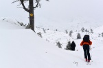 DACHSTEIN - SKIALPOV KLASIKA 2015, Jednm slovem: Hitparda! Pedpov poas byla velmi nepzniv, Dachstein ns vak pijal pvtiv, chata Richard neetil smvy a ikovic a Mra natunnm programem. - fotografie 4