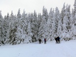 Zkladn kurz Skialpinismu 15.-17.1.2016, NEEKAN, NEUVITELN, ZZRAK! Pes naprostou snhovou mizrii konce minulho a zatku letonho roku, byl tento kurz naprosto famozn a to nejen dky snhovm podmnkm, ale i dky poas a astn - fotografie 7