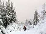 Zkladn kurz Skialpinismu 15.-17.1.2016, NEEKAN, NEUVITELN, ZZRAK! Pes naprostou snhovou mizrii konce minulho a zatku letonho roku, byl tento kurz naprosto famozn a to nejen dky snhovm podmnkm, ale i dky poas a astn - fotografie 9