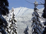 Zkladn kurz Skialpinismu 15.-17.1.2016, NEEKAN, NEUVITELN, ZZRAK! Pes naprostou snhovou mizrii konce minulho a zatku letonho roku, byl tento kurz naprosto famozn a to nejen dky snhovm podmnkm, ale i dky poas a astn - fotografie 15