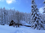 Zkladn kurz Skialpinismu 15.-17.1.2016, NEEKAN, NEUVITELN, ZZRAK! Pes naprostou snhovou mizrii konce minulho a zatku letonho roku, byl tento kurz naprosto famozn a to nejen dky snhovm podmnkm, ale i dky poas a astn - fotografie 26