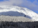 Zkladn kurz Skialpinismu 15.-17.1.2016, NEEKAN, NEUVITELN, ZZRAK! Pes naprostou snhovou mizrii konce minulho a zatku letonho roku, byl tento kurz naprosto famozn a to nejen dky snhovm podmnkm, ale i dky poas a astn - fotografie 31