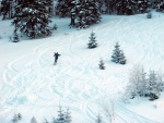 ZKLADN KURZ SKIALPINISMU V KRKONOCH, Tak to se povedlo :-) V sobotu po oblev jak hrom vechno zmrzlo a bylo to super polyovn. Ale v nedli v 10 cm praanu vichni ieli nadenm. HM...KDO BY TO EKAL... - fotografie 10