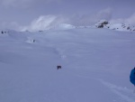 SKIALPINISTICK ELDORDO KITZBHEL 4.-6.3.2016, Pardn skialp v pardn zim, nebt toho vtru, sp vichice v sobotu nemlo to vadu. Kombinace slunce, praanu, bezvt, a mlhy prost hory! - fotografie 25