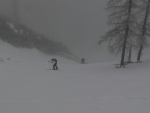 TOTES GEBIRGE Z TAUPLITZ, U dopedu byla pedpov jasn: mlha a teplo. Na hory se vak vichni tili a tak si i tak uili. Mlha, snen, lavinoka... no veer pak sauna a prav esk Plze. ekali jsme na slunce u od brzk - fotografie 13