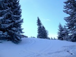 ZKLADN KURZ SKIALPINISMU 6.-8.1.2017, Nadlka snhu byla bjen a vkonnost skupiny velmi vyrovnan. Skvle si to uili vichni. - fotografie 36