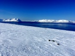 SKIALP V NORSKU 2017, Legendrn skialpinistick oblast a vprava CK Kl za polrn kruh opt nezklamala... Praanu bylo sice ze zatku mn, ale vemocn troll vechno dohnal. - fotografie 9