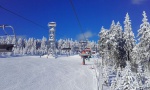 SKI WORKSHOP 2018 - ZE SJEZDOVKY DO TERNU, Vechny typy snhu, vechny typy poas, vechny typy zlepen, nakonec byl i freeride v praanu.. - fotografie 4