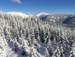 SKI WORKSHOP 2018 - ZE SJEZDOVKY DO TERNU, Vechny typy snhu, vechny typy poas, vechny typy zlepen, nakonec byl i freeride v praanu.. - fotografie 16