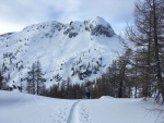 TOTES GEBIRGE 2018, TOTLN MASAKR! Pedpov byla nic moc a navc avizovala velk mrazy. a co z toho bylo? Praan, azuro, pardn 3 try, prost skialpov pochrochtn. - fotografie 20