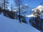 TOTES GEBIRGE 2018, TOTLN MASAKR! Pedpov byla nic moc a navc avizovala velk mrazy. a co z toho bylo? Praan, azuro, pardn 3 try, prost skialpov pochrochtn. - fotografie 96