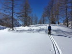 TOTES GEBIRGE 2018, TOTLN MASAKR! Pedpov byla nic moc a navc avizovala velk mrazy. a co z toho bylo? Praan, azuro, pardn 3 try, prost skialpov pochrochtn. - fotografie 122